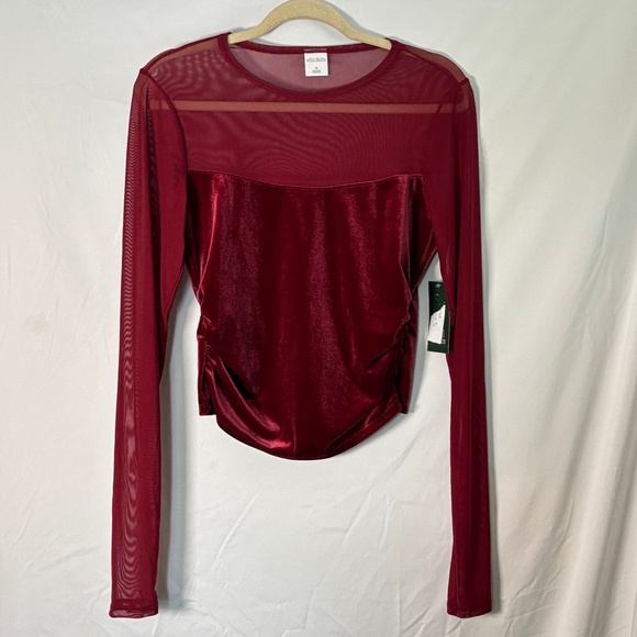 Wild Fable Tops - Burgundy Velvet Mesh Top Sheer Long Sleeve Y2K 2000s Goth Fairy Grunge NWT Med